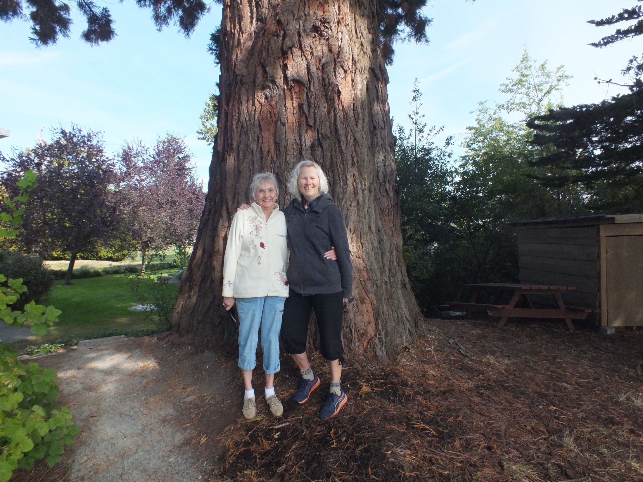 Gail And Elaine Showing The Size Of The Sequoias (1)